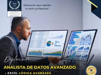Analista de Datos Avanzados en Excel