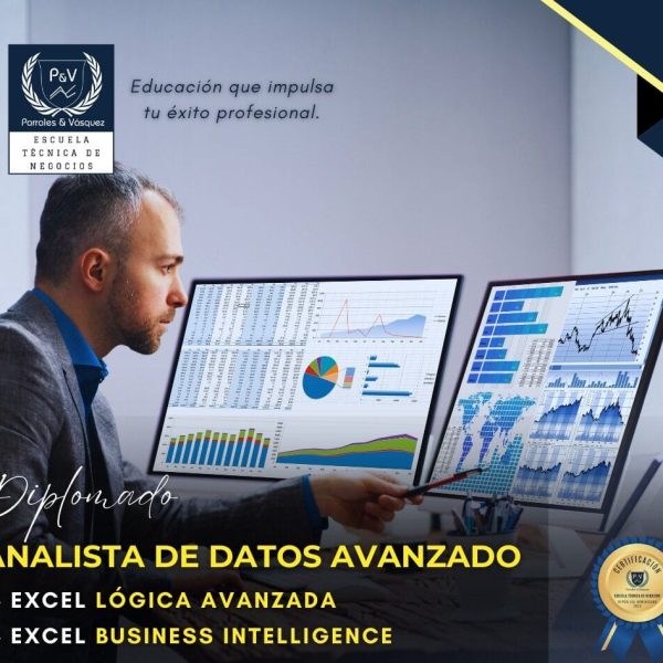analista de datos